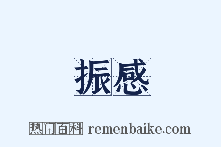 振感是什么意思的图片